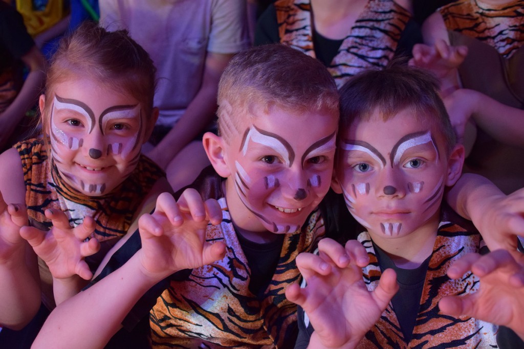 assets/theme/content/images/startseite/Zirkus/Kleine Tiger.JPG